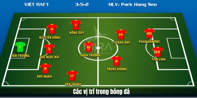 Những vị trí trong một trận bóng đá - Phân tích các vai trò trên sân cỏ